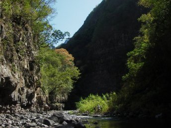 Walking on Reunion Island, Bras de la Plaine gorges © Alizés Montagnes